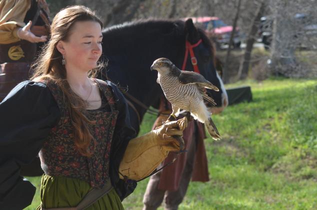 Bird of Prey