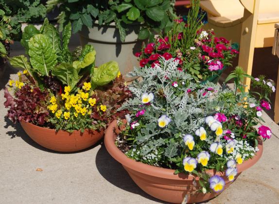 The right potting mix will help ornamental and edible plants thrive / MelindaMyers.com Courtesy of