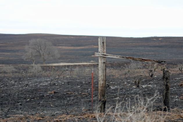Texas Farm Bureau is accepting monetary donations to help farmers and ranchers in the Texas Panhandle recover from the devastating losses caused by wildfires this week.