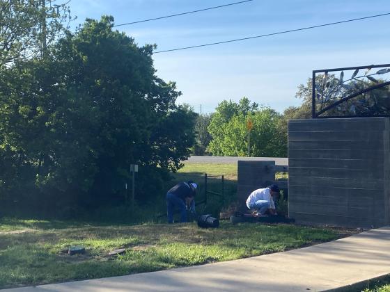 An LCRA volunteer planting new plants at the entrance of SS River Nature Park