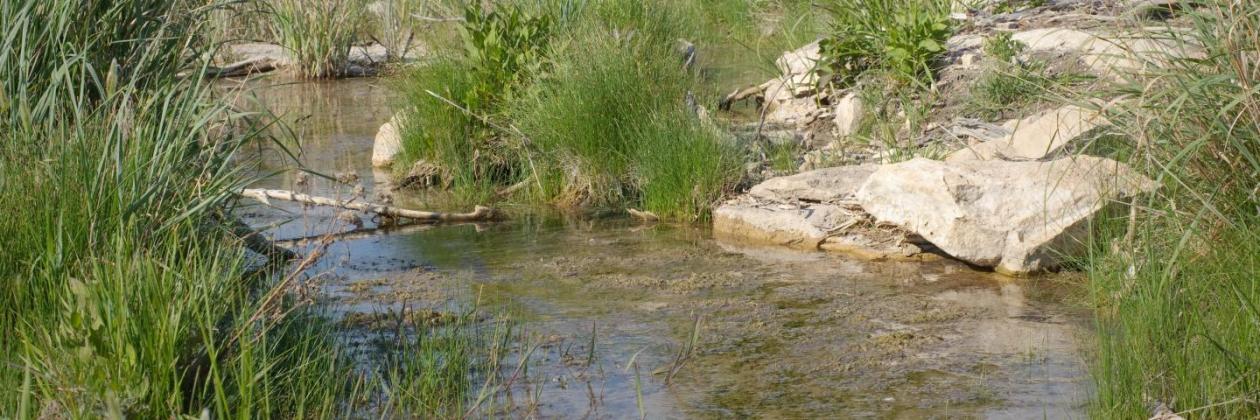 NRCS Texas announces additional 2024 National Water Quality Initiative sign-ups through EQIP