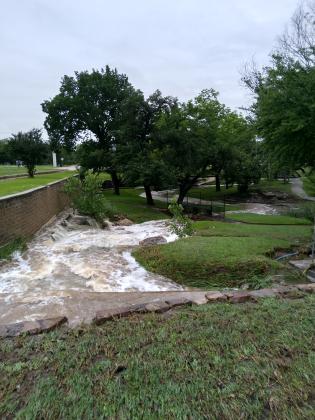 Mill Pond Park - Courtesy of Carolyn Boswell Preece