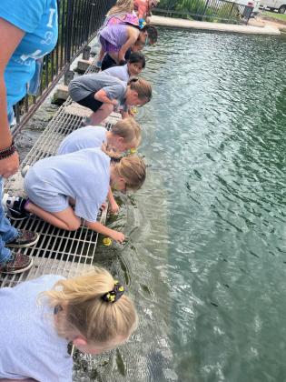 The kampers learn how water flows by participating in a rubber duck race.