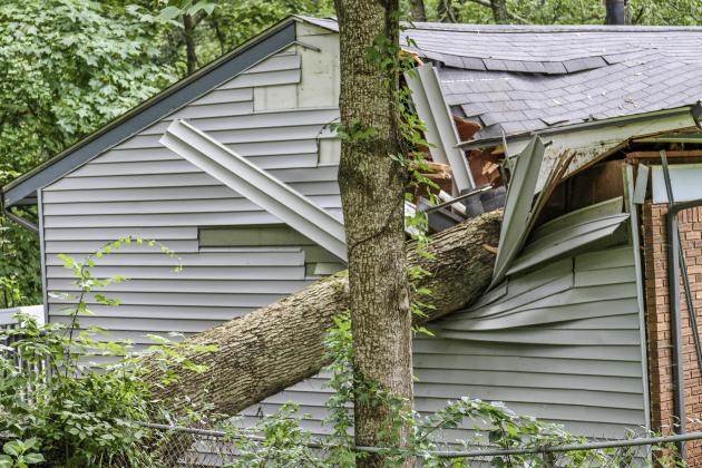 Apply Separately to FEMA if You Reported Damage to TDEM