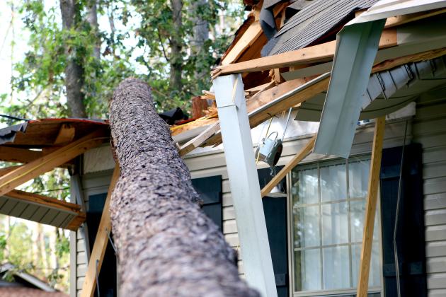 Apply Separately to FEMA if You Reported Damage to TDEM