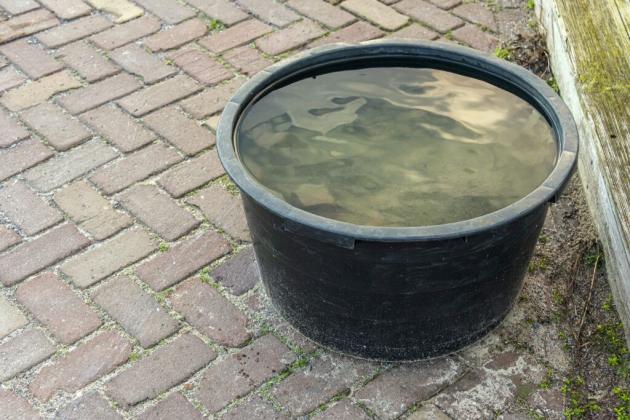 Stagnant water can retain environmental contaminants, such as plant material, parasites, toxins, mold and more. Getty Images