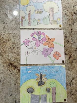 Environmental Posters