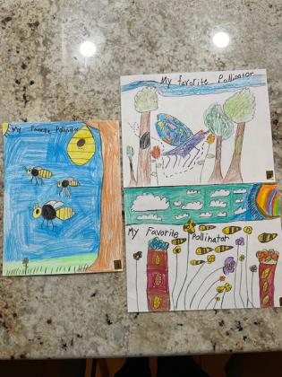 Environmental Posters