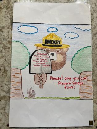 Smokey Bear Poster