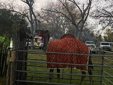 First Annual Live Nativity scene