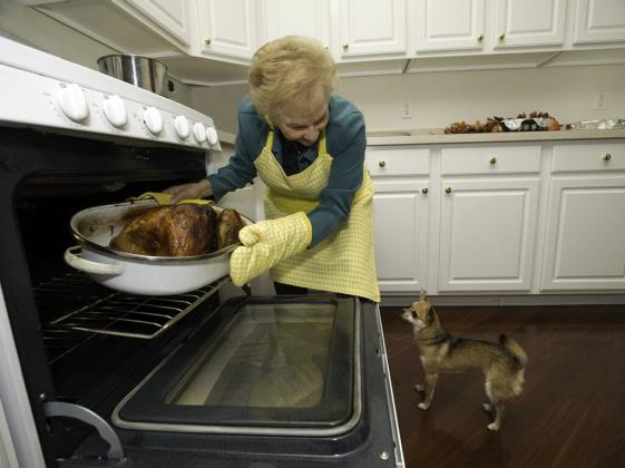 Food treats, while popular, should be checked for allergens or ingredients that might not suit a pet’s dietary needs. Getty Images