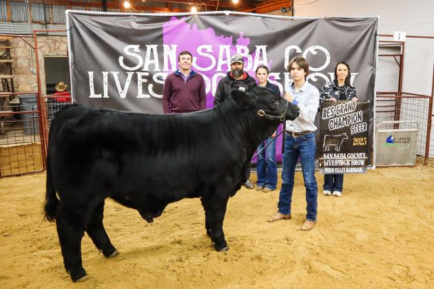 Reserve Grand Champion Steer - Acey Mask