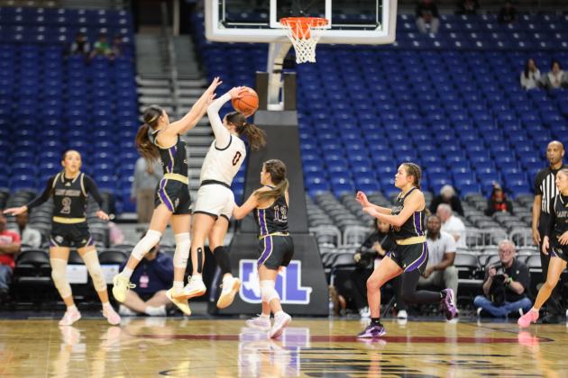 Lady Dillos at the Alamodome playing in the State Championship game