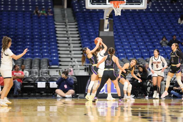 Lady Dillos at the Alamodome playing in the State Championship game