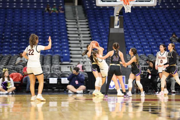 Lady Dillos at the Alamodome playing in the State Championship game