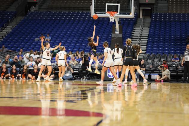 Lady Dillos at the Alamodome playing in the State Championship game