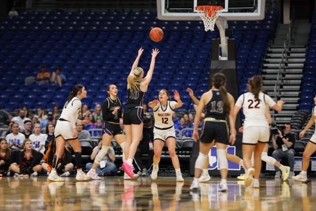 Lady Dillos at the Alamodome playing in the State Championship game