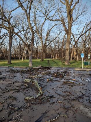 Parking lot between LCRA Nature Park and Risien Park - By Djuana Payton