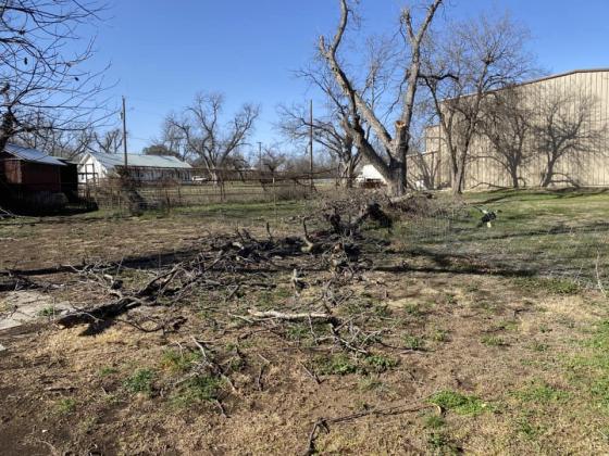 30 ft limb came crashing down around 4 a.m. - By Jake Hargrove