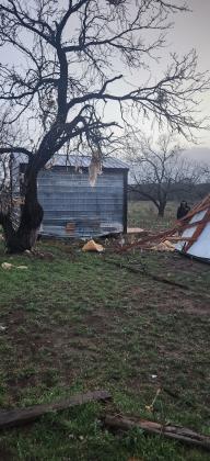 The insulation was even up in trees - By Kerinda Stewart Chaudoin-Turner