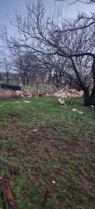 Insulation was blown everywhere - By Kerinda Stewart Chaudoin-Turner