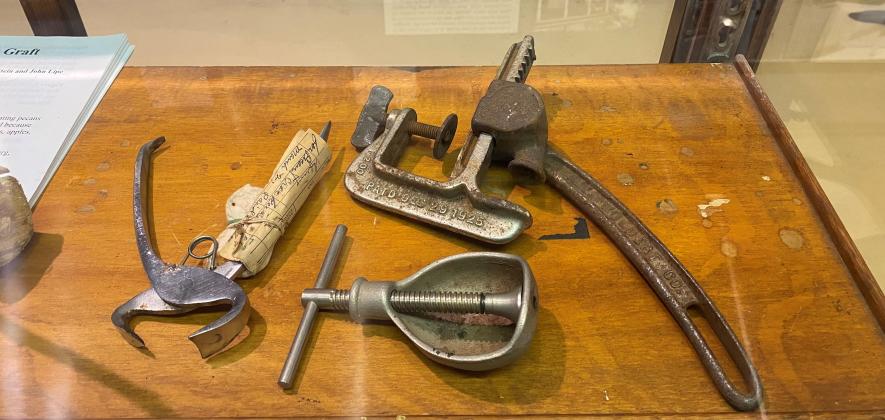 Nut Cracker Set