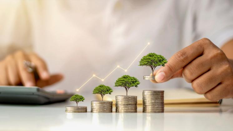 TN Nursery Launches Green Scholarship: 20 Awards Up to $1,000 for Horticulture Students