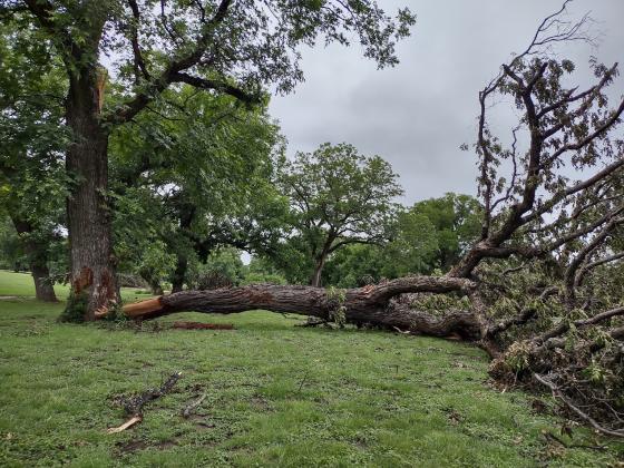 San Saba River Golf Course wind damage
