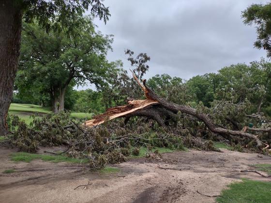 San Saba River Golf Course wind damage