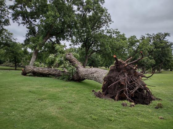 San Saba River Golf Course wind damage