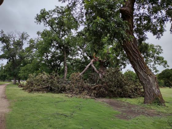 San Saba River Golf Course wind damage