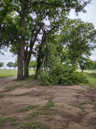 Beginning of the tour at the San Saba River Golf Course - back nine holes