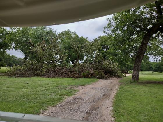 This one blocked the paved path.