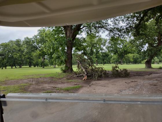 This limb may look small in comparison, but even this smaller limb will take a while to get cleaned up.