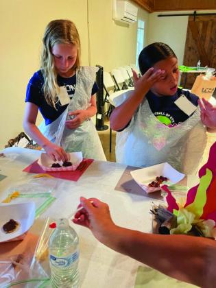 2025 Kids’ Nature Kamp at Mill Pond Park | Photo by Debbie Shahan