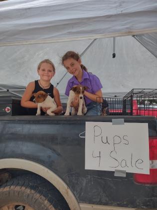 Showing off these cute little puppies for sale were Macey (left) and Addie (right). Photo by Djuana Payton