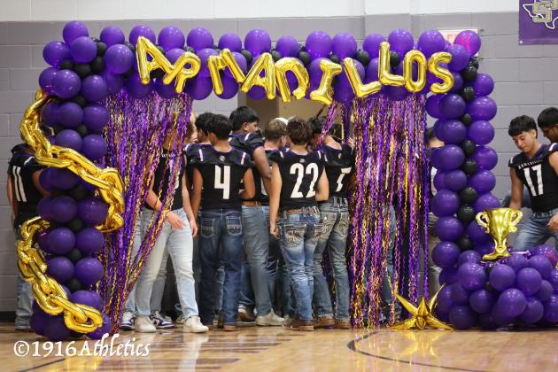 Meet The Dillos