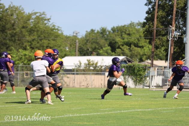 Armadillo Purple/Gold scrimmage