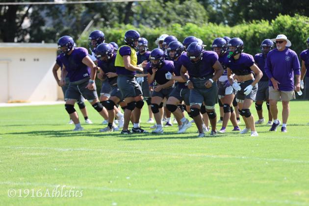 Armadillo Purple/Gold scrimmage