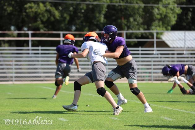 Armadillo Purple/Gold scrimmage