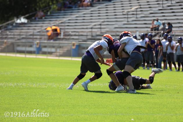 Armadillo Purple/Gold scrimmage
