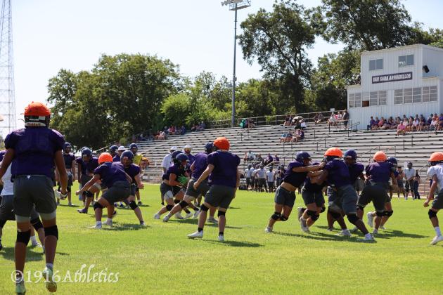 Armadillo Purple/Gold scrimmage