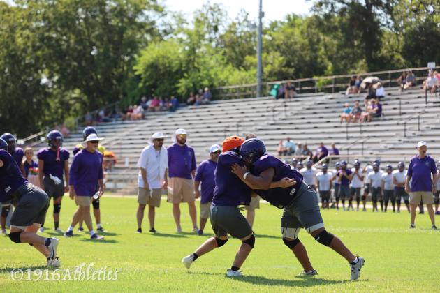 Armadillo Purple/Gold scrimmage