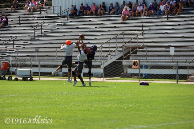 Armadillo Purple/Gold scrimmage