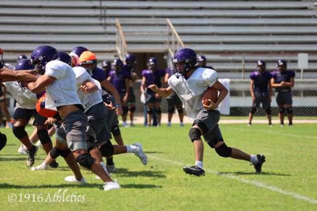 Armadillo Purple/Gold scrimmage