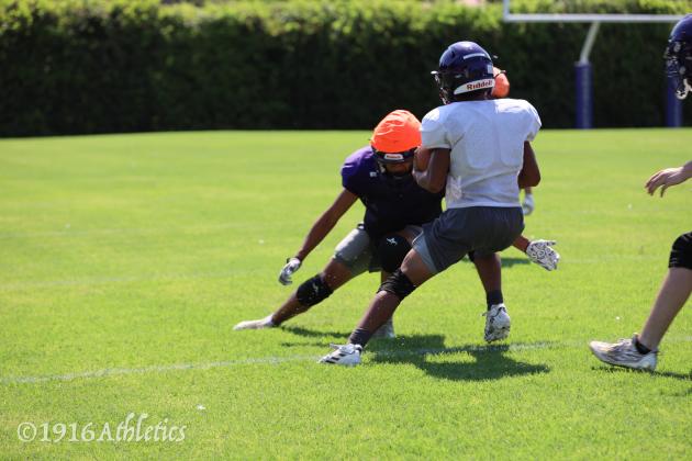 Armadillo Purple/Gold scrimmage
