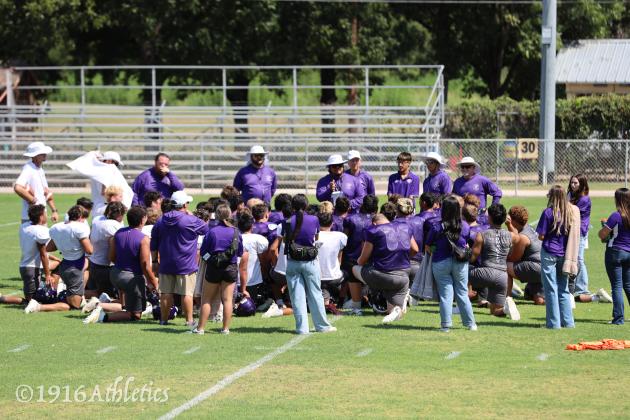 Armadillo Purple/Gold scrimmage