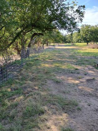 New Fence Line out at Brister's lease land, Mike Millican's place | photo by Djuana Payton
