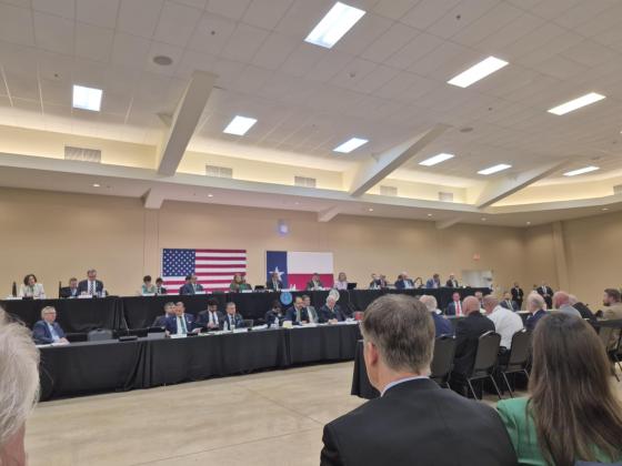 Congressional Committee on Disaster Preparedness