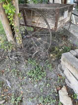 This cart survived outside. But how?